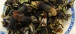 Percebes cuits