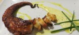 Tentacle de pop a la planxa amb all i oli de mango